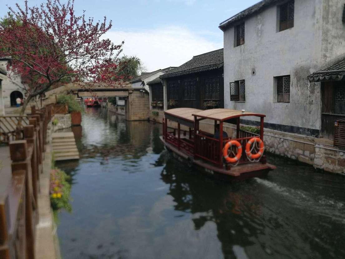 紫色系
